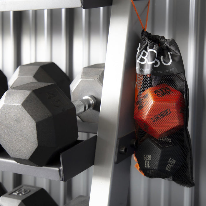 BOSU® Exercise Dice