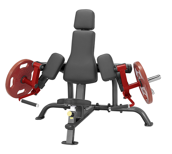 Steelflex Bicep Curl