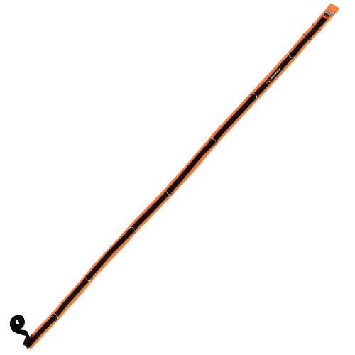 Spine Strap