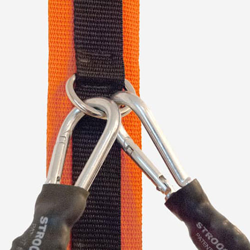 Spine Strap