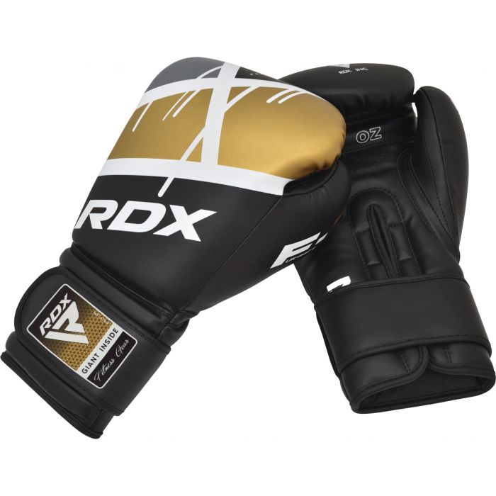 Ego Training Boxing Gloves F7