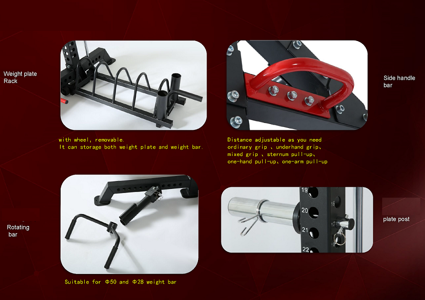 Warrior Strength Cage/Rig Combo