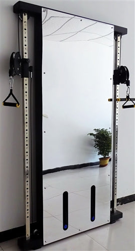 Warrior Wall Mounted Pulley Machine System